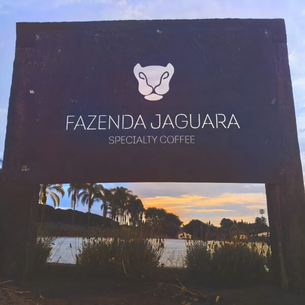 Brazil Fazenda Jaguara - Image 5