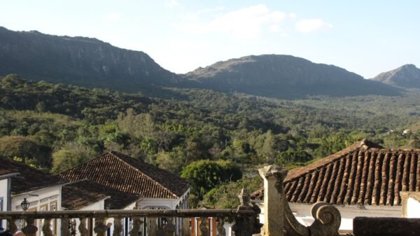Brazil Fazenda Jaguara - Image 6