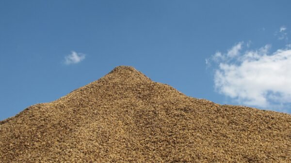 Brazil Fazenda Jaguara - Image 19