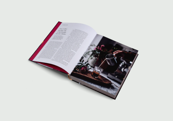 Spill The Beans - Lani Kingston (Book) - Image 2