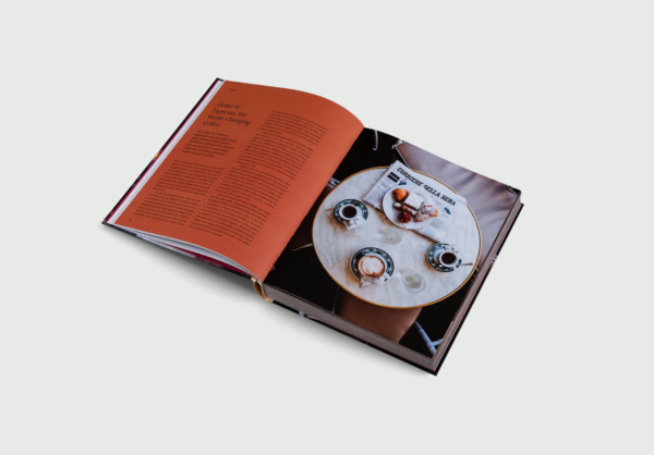 Spill The Beans - Lani Kingston (Book) - Image 3